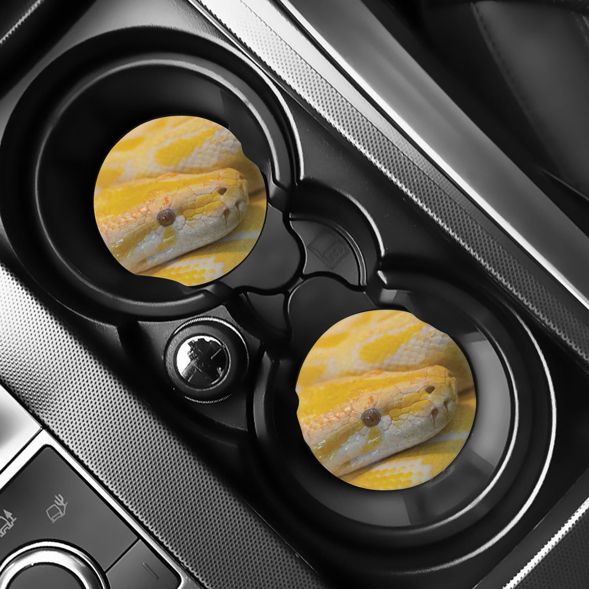 Yellow And White Python Snake Print Car Coasters