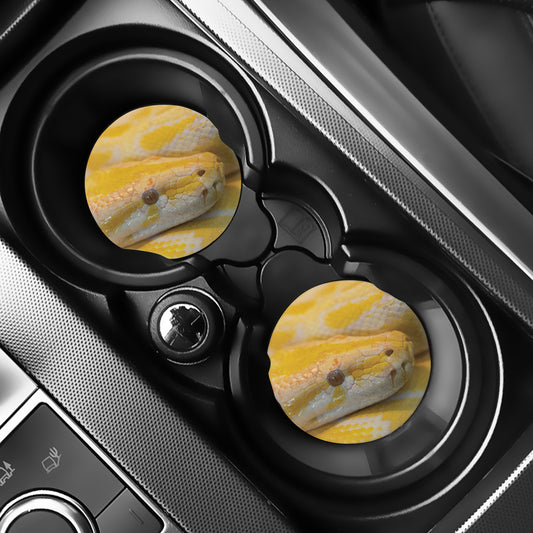 Yellow And White Python Snake Print Car Coasters