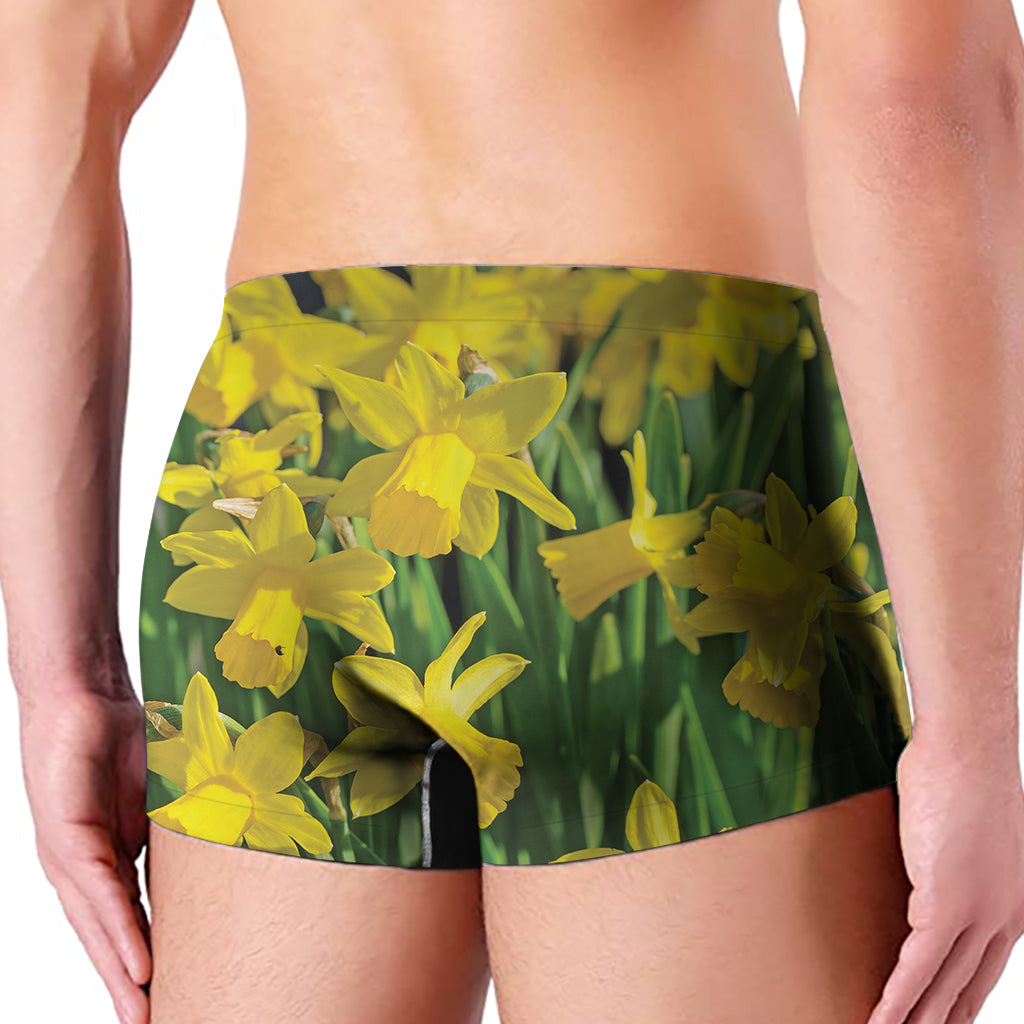Yellow Daffodil Flower Print Men's Boxer Briefs