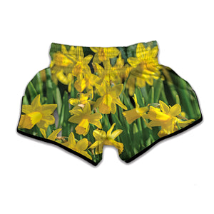 Yellow Daffodil Flower Print Muay Thai Boxing Shorts
