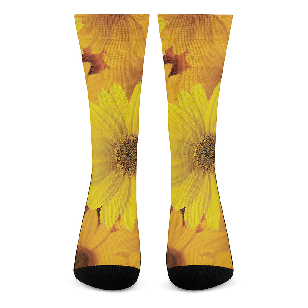 Yellow Daisy Flower Print Crew Socks