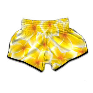 Yellow Frangipani Pattern Print Muay Thai Boxing Shorts