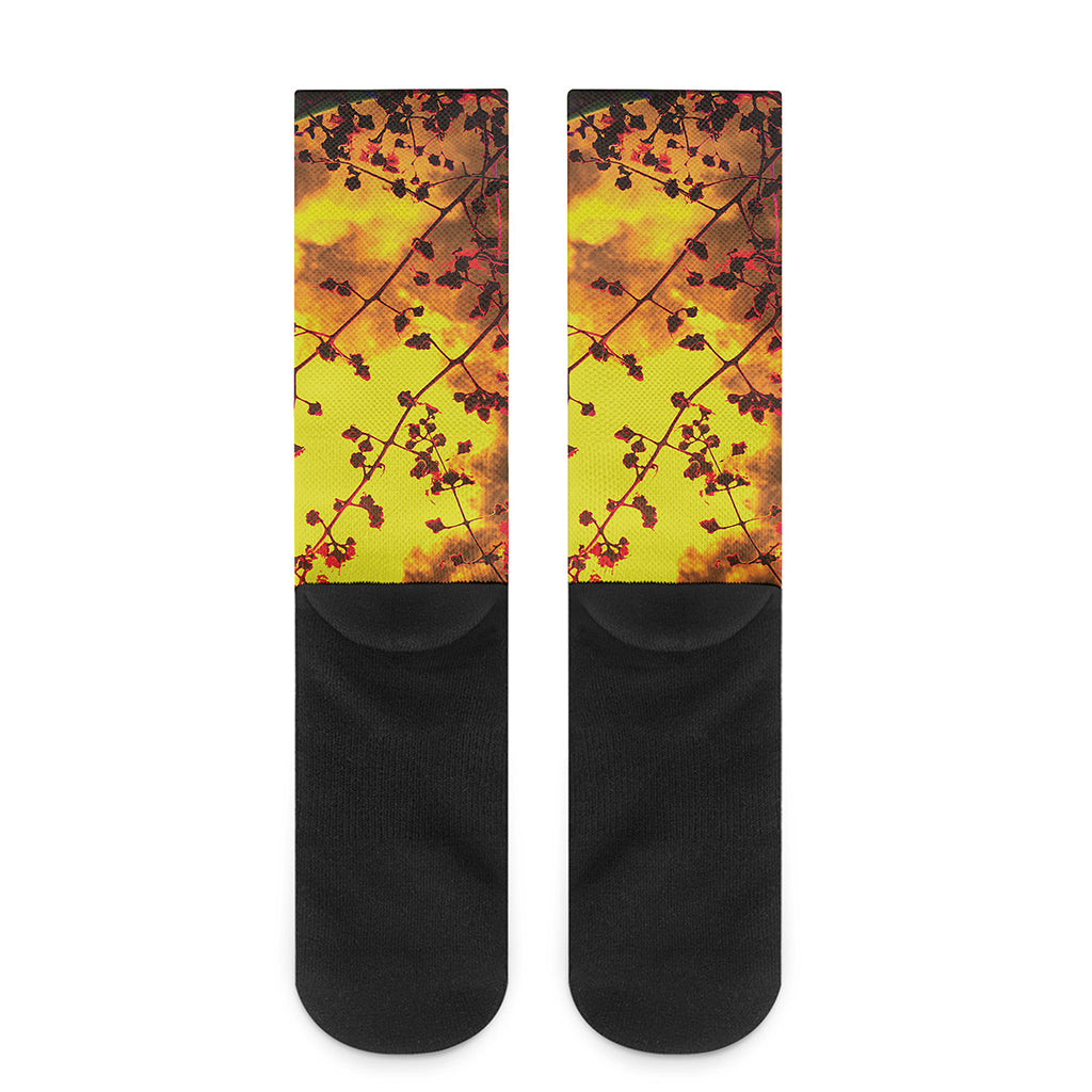 Yellow Full Moon Print Crew Socks