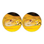 Yellow Python Snake Print Car Coasters