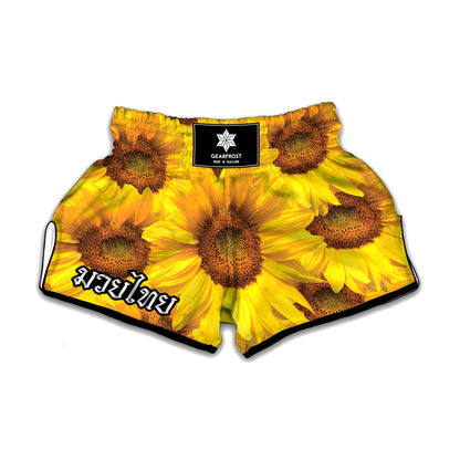 Yellow Sunflower Print Muay Thai Boxing Shorts