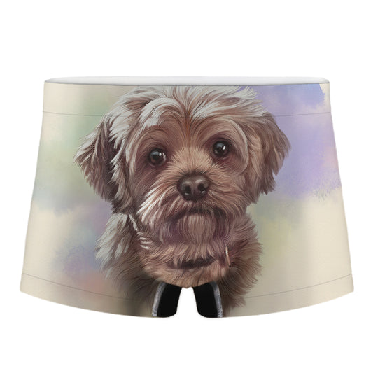 Yorkshire Terrier Portrait Print Men's Boxer Briefs