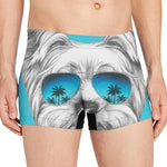 Yorkshire Terrier With Sunglasses Print Men's Boxer Briefs